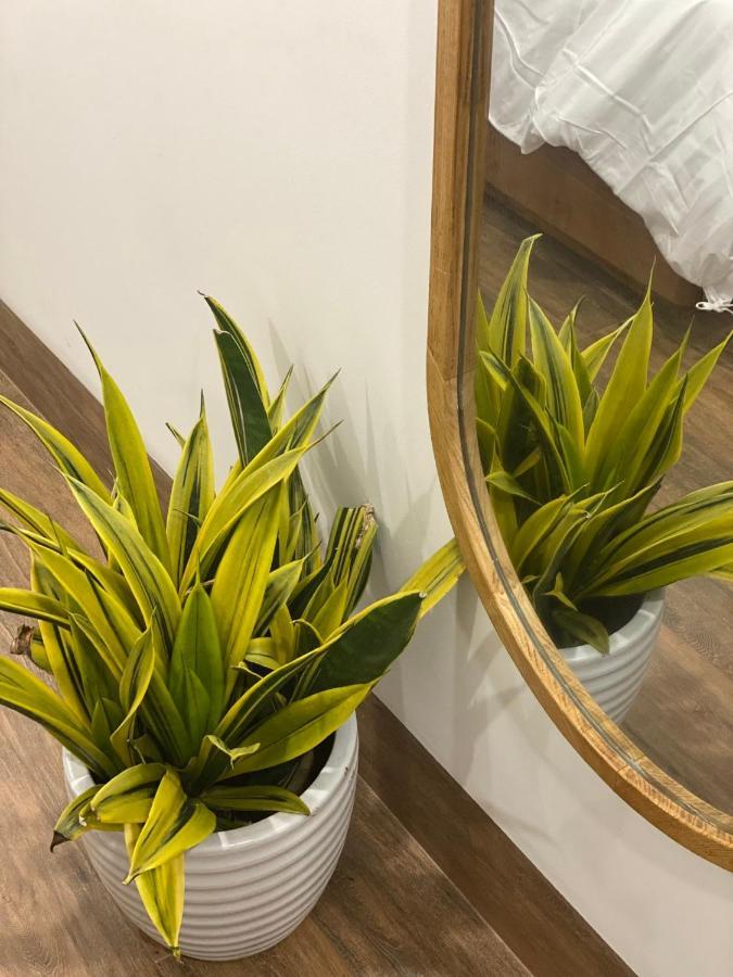 Lacovy Home 会安 外观 照片